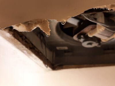 Professional Flood Damage Restoration services in Cedarville, OH